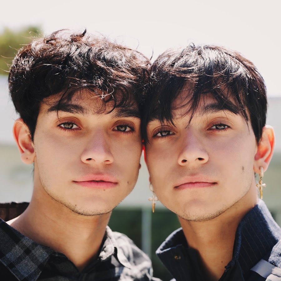 Lucas and Marcus Net Worth, Earning, Income, Salary & Career